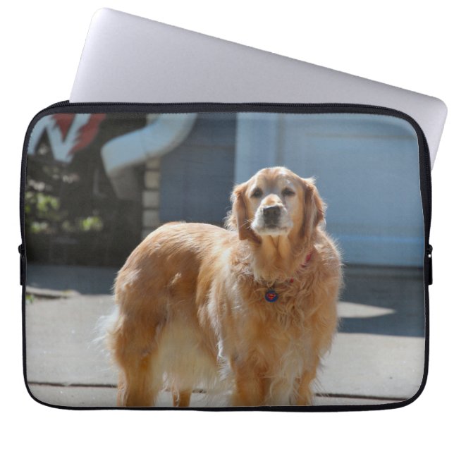 Capa Para Notebook Ouro Sunshine (Frente)