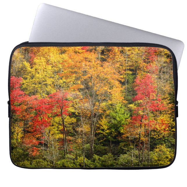 Capa Para Notebook Outono em Sims Pond North Carolina, Blue Ridge (Frente)