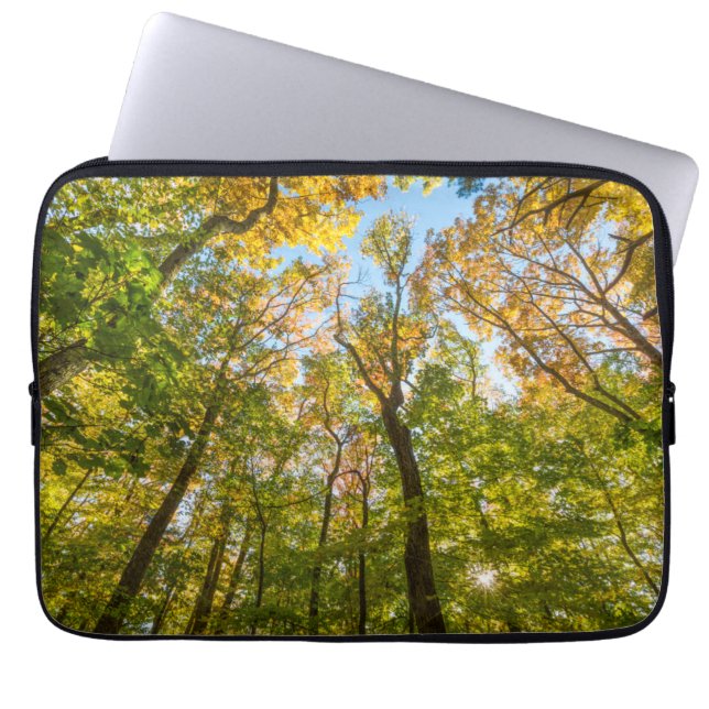 Capa Para Notebook Outono em uma floresta em Amesbury, Massachusetts (Frente)