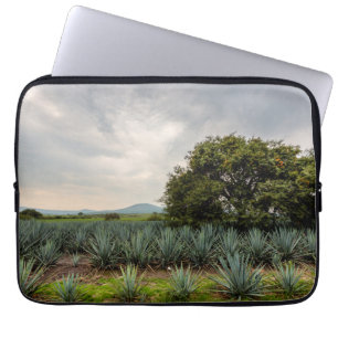 Capa Para Notebook Paisagem com agave azul