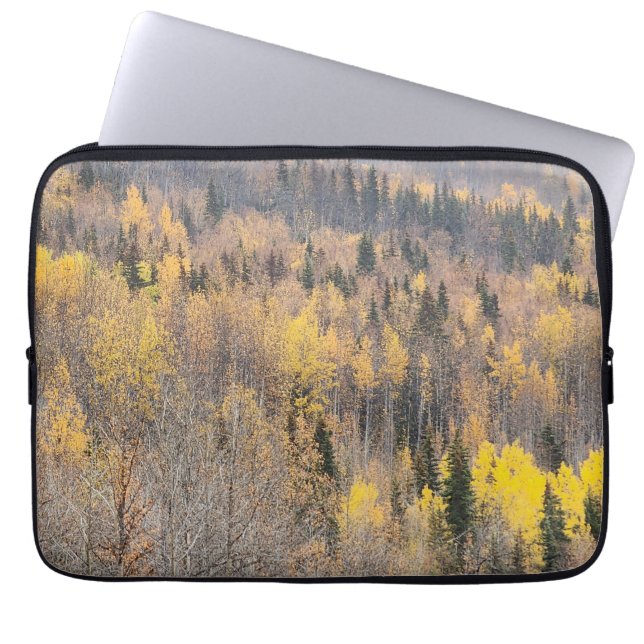Capa Para Notebook Paisagem Florestal de Outono com Árvores Douradas (Frente)