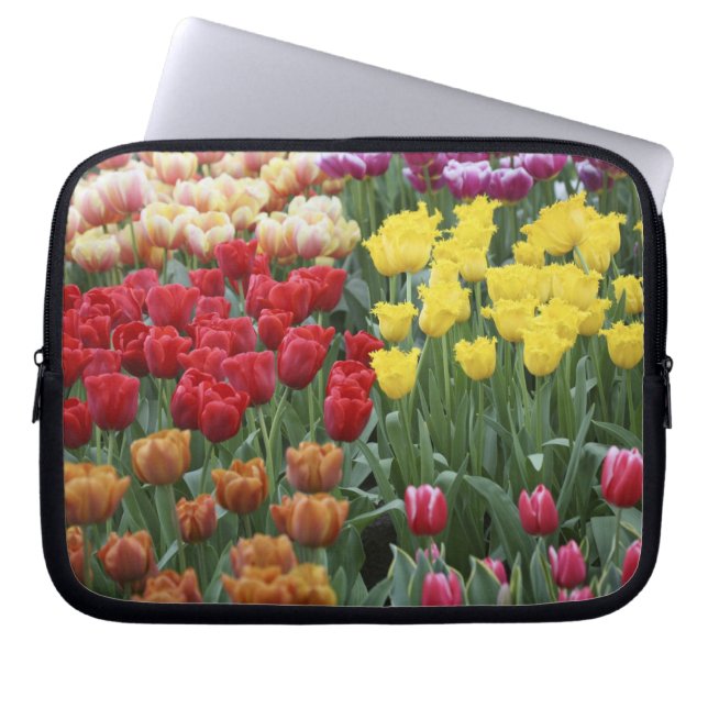 Capa Para Notebook Países Baixos, Jardins Keukenhoff, tulipas. (Frente)