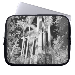 Capa Para Notebook Palmeiras Reais Nativas em Fakahatchee Strand,