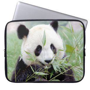 Capa Para Notebook Panda gigante da fotografia, capas de laptop de an