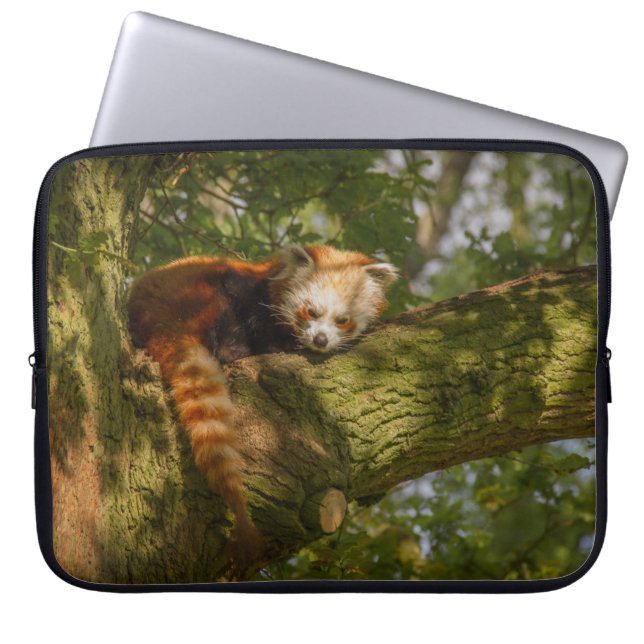 CAPA PARA NOTEBOOK PANDA VERMELHA NO RAMO DA ÁRVORE VERDE (Frente)