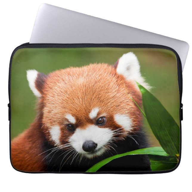 Capa Para Notebook Panda Vermelho Fofo (Frente)