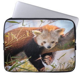 Capa Para Notebook Pantaninha vermelha preguiçosa