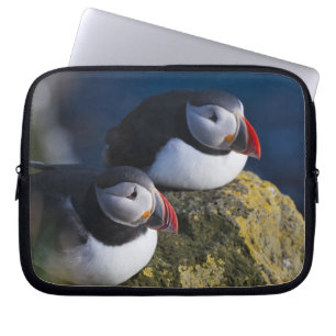 Capa Para Notebook Papagaio-do-mar (Fratercula arctica) 7