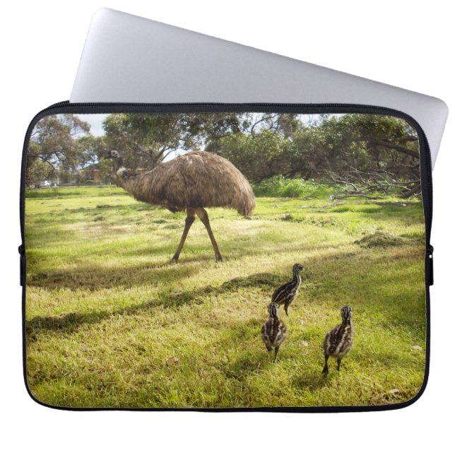 Capa Para Notebook Papai e Bebês Emus,  (Frente)