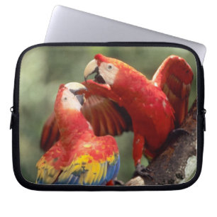 Capa Para Notebook Par de Araras-vermelhas