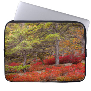 Capa Para Notebook Parque Nacional Acadia, Maine