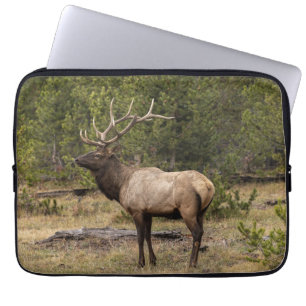 Capa Para Notebook Parque Nacional Bull Elk Yellowstone, Wyoming