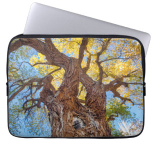 Capa Para Notebook Parque Nacional Capitol Reef, Árvore Cottonwood