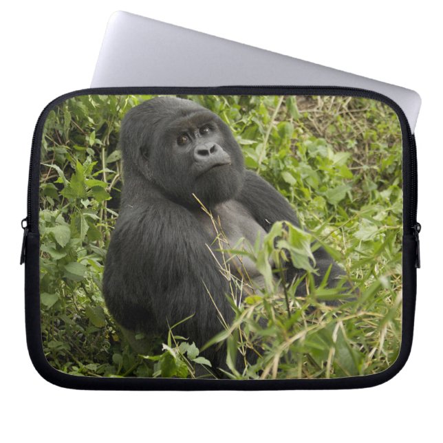 Capa Para Notebook Parque Nacional dos Vulcões, Gorila da Montanha (Frente)