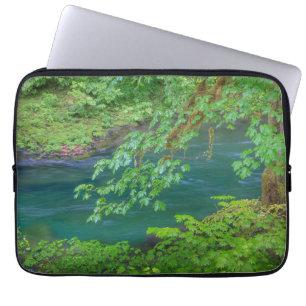 Capa Para Notebook Parque Nacional Olímpico Estado de Washington