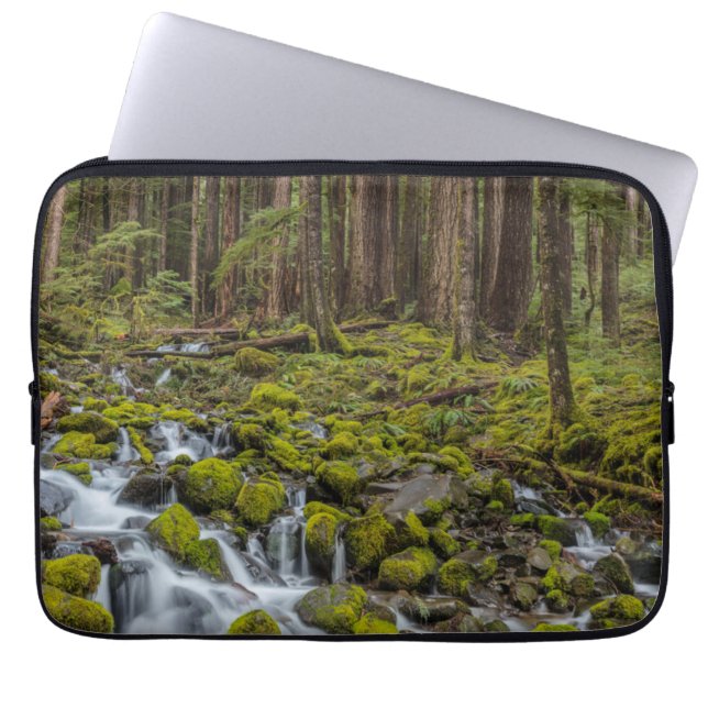 Capa Para Notebook Parque Nacional Olímpico, Estado de Washington (Frente)