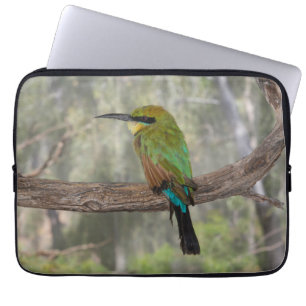 Capa Para Notebook Pássaro comedor-de-abelhas-arco-íris, Austrália