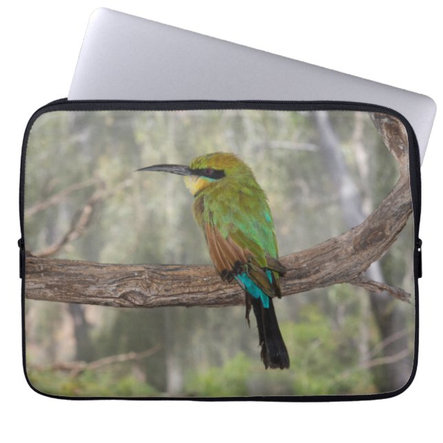 Capa Para Notebook Pássaro comedor-de-abelhas-arco-íris, Austrália (Frente)
