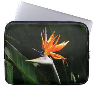 Capa Para Notebook Pássaro da Flor Tropical Laranja do Paraíso