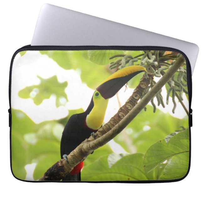 Capa Para Notebook Pássaro Exótico Swainson Toucan (Frente)