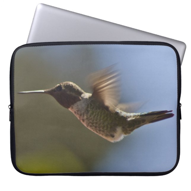 Capa Para Notebook Pássaro Hummingno Voo (Frente)