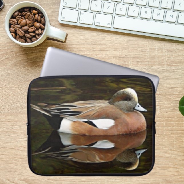 Capa Para Notebook Pato Americano Wigeon no Pond (In Situ)