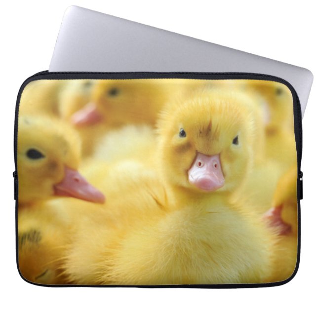 Capa Para Notebook Patos pequenos (Frente)