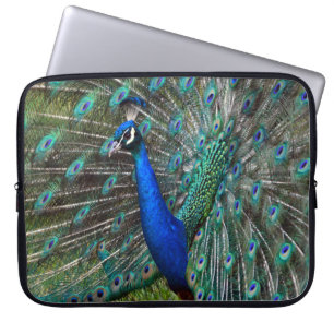 Capa Para Notebook Pavão masculino colorido