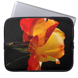 Capa Para Notebook Peachy Orange Rosa