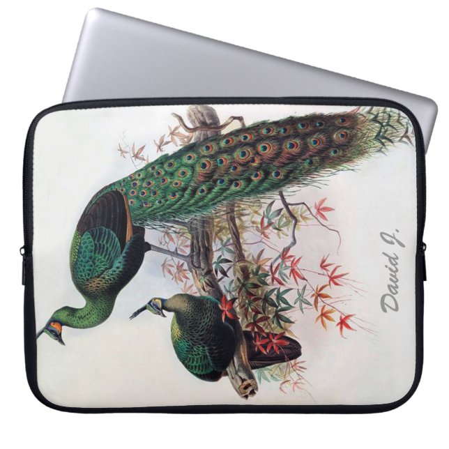 Capa Para Notebook Peacock, pafowl verde pavo muticus 1872 ... (Frente)