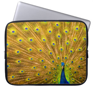 Capa Para Notebook Peacock, Silver Falls, Kauai, wetcase havaiano
