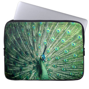 Capa Para Notebook Peacock Strut
