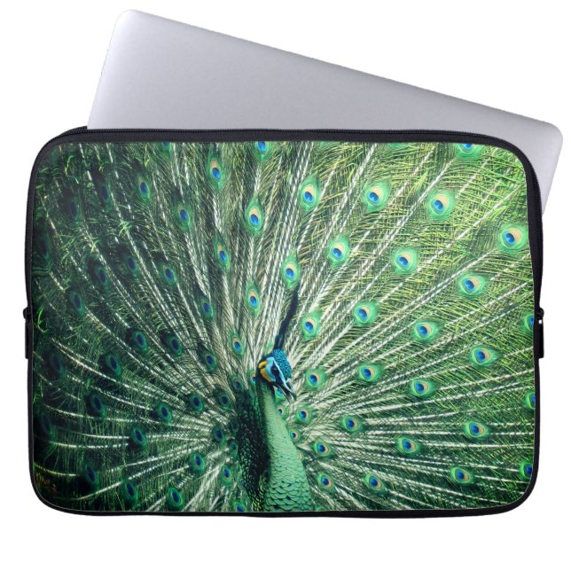 Capa Para Notebook Peacock Strut (Frente)