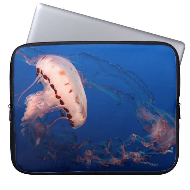 CAPA PARA NOTEBOOK PEIXE BRANCO E LARANJA (Frente)