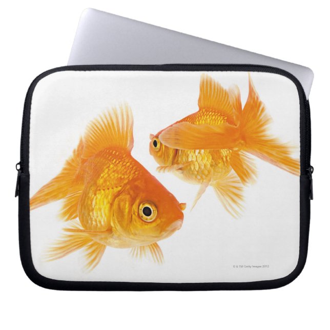 Capa Para Notebook Peixe dourado dois (Frente)