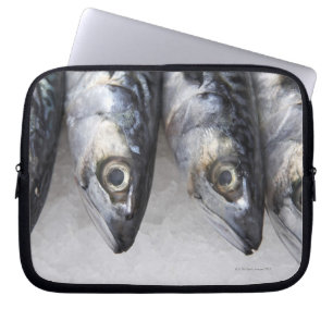 Capa Para Notebook Peixes da cavala, captura fresca do dia