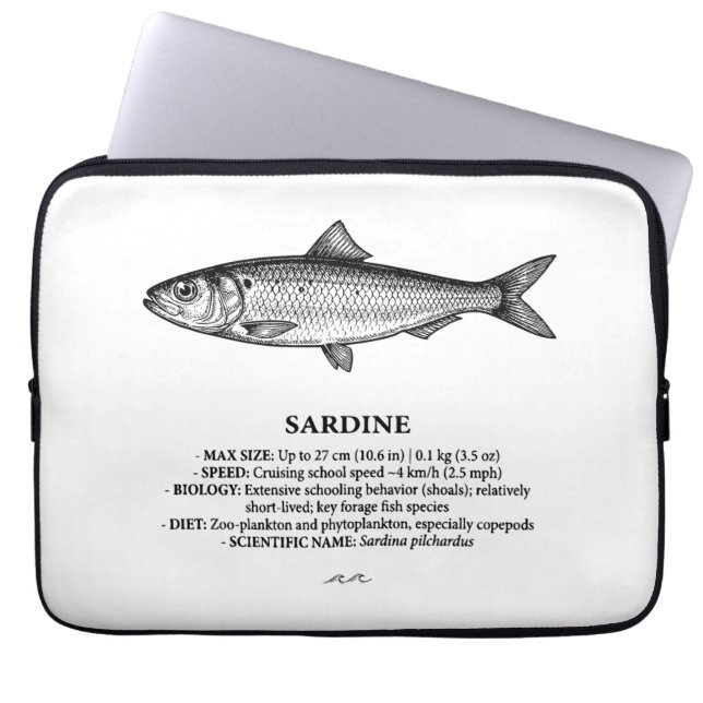Capa Para Notebook Peixes Escolares de Sardinha Vintage  (Frente)