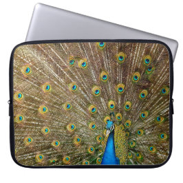 Capa Para Notebook Penas da Cauda Peacock