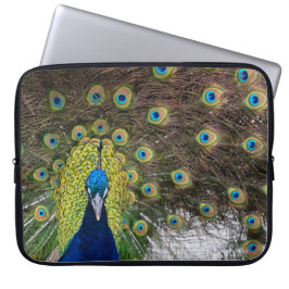 Capa Para Notebook Penas de Peacock Vibrantes