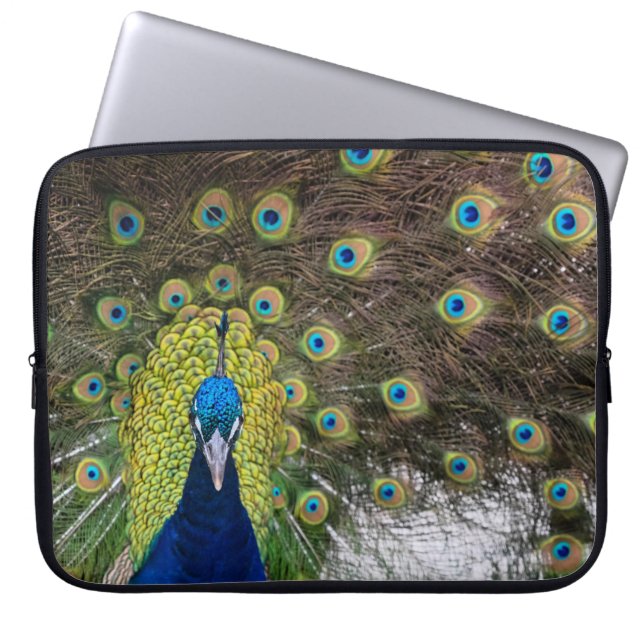 Capa Para Notebook Penas de Peacock Vibrantes (Frente)
