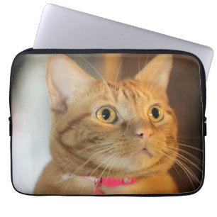 Capa Para Notebook Penny bonito