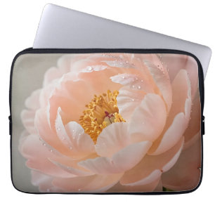 Capa Para Notebook Peônia Rosa Suave com Gotículas de Orvalho