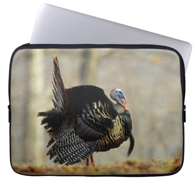 Capa Para Notebook Peru masculino pavoneando-se, Illinois (Frente)