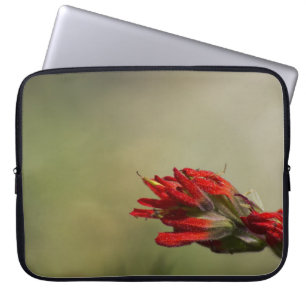 Capa Para Notebook Pincel Indiano