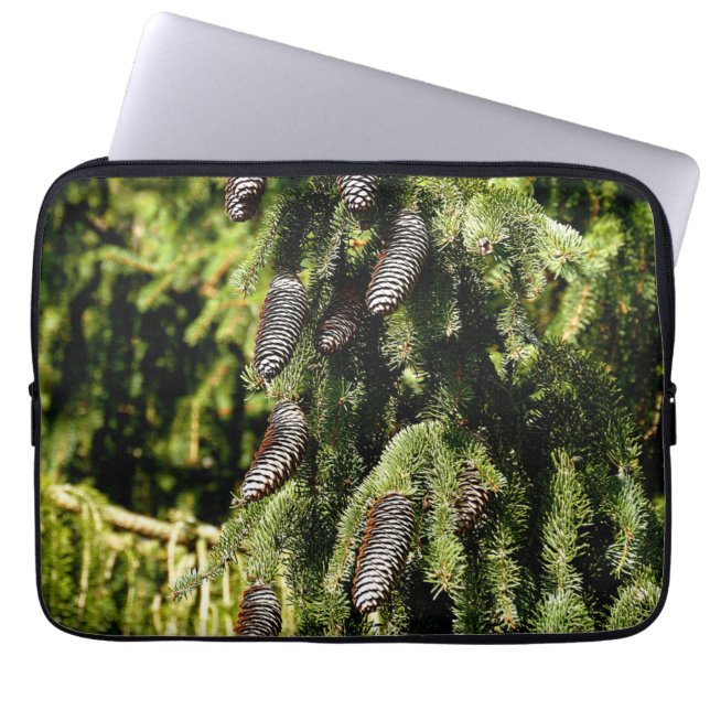 Capa Para Notebook Pinecones (Frente)