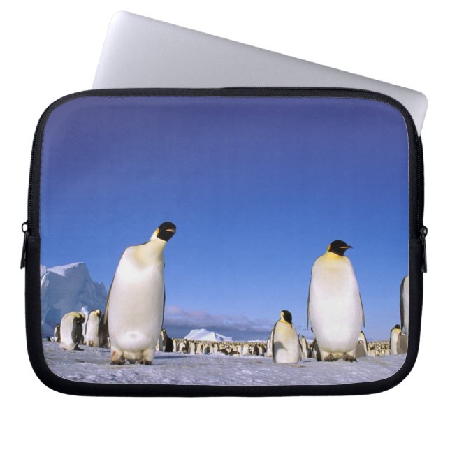 Capa Para Notebook Pinguim | Antártida, Península Antártica (Frente)