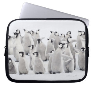 Capa Para Notebook Pinguim de imperador (forsteri do Aptenodytes)