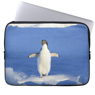 Capa Para Notebook Pinguim engraçado na foto do gelo