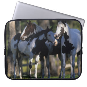 Capa Para Notebook Pinte cavalos