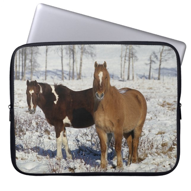 Capa Para Notebook Pinte cavalos na neve (Frente)